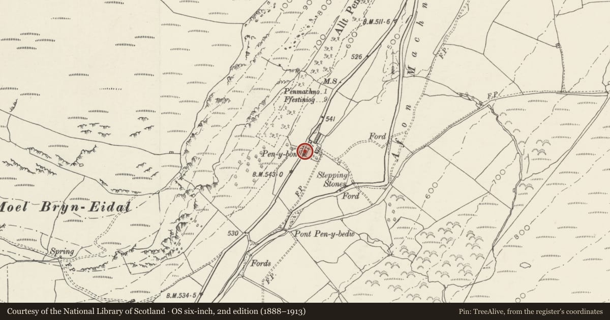 Ordnance Survey six-inch map, 2nd edition (1888–1913) covering the location of Pigsties at Pen-Y-Bont Farm, Bro Machno, Conwy, with a pin at the register's coordinates