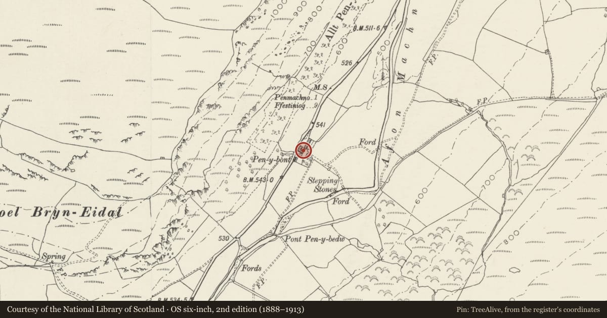 Ordnance Survey six-inch map, 2nd edition (1888–1913) covering the location of Stable & Cartshed Block at Pen-Y-Bont Farm, Bro Machno, Conwy, with a pin at the register's coordinates
