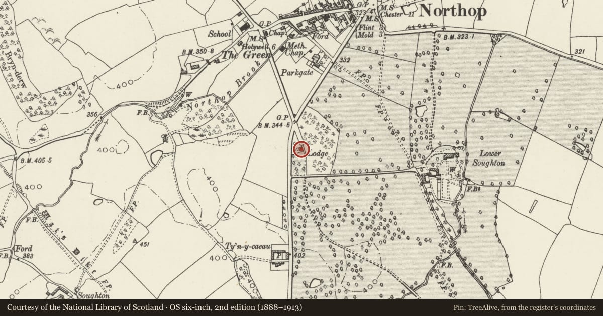 Ordnance Survey six-inch map, 2nd edition (1888–1913) covering the location of Lower Lodge to Soughton Hall, Northop, Flintshire, with a pin at the register's coordinates