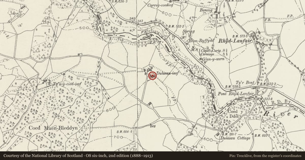 Ordnance Survey six-inch map, 2nd edition (1888–1913) covering the location of Former Stable at Dylasau Isaf, Bro Machno, Conwy, with a pin at the register's coordinates