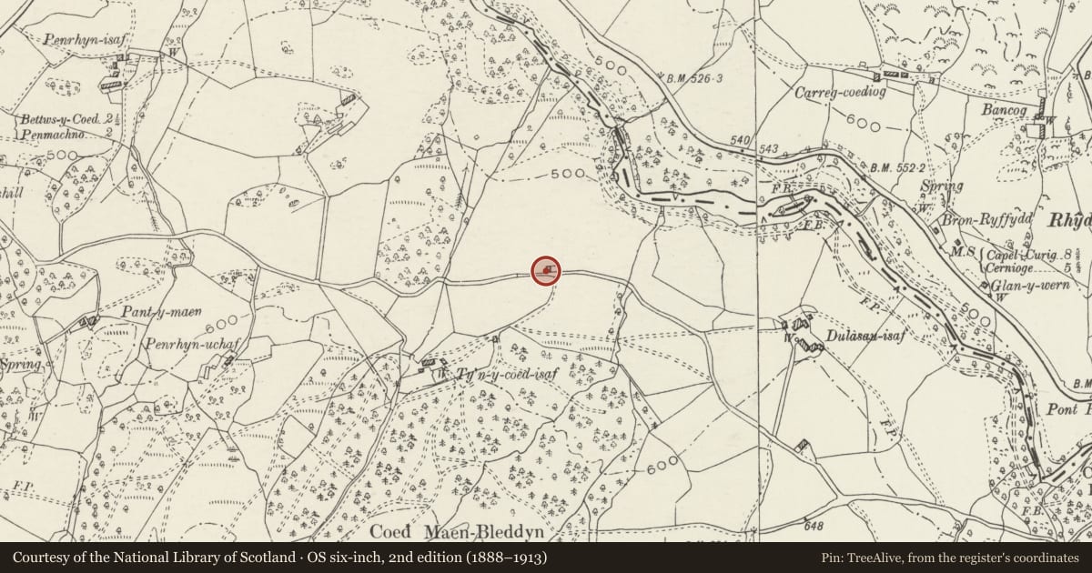 Ordnance Survey six-inch map, 2nd edition (1888–1913) covering the location of Field Barn at Dylysau Isaf, Bro Machno, Conwy, with a pin at the register's coordinates