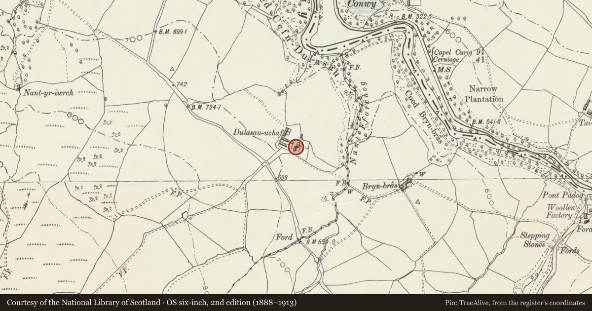 Ordnance Survey six-inch map, 2nd edition (1888–1913) covering the location of Cartshed at Dylysau Uchaf, Bro Machno, Conwy, with a pin at the register's coordinates