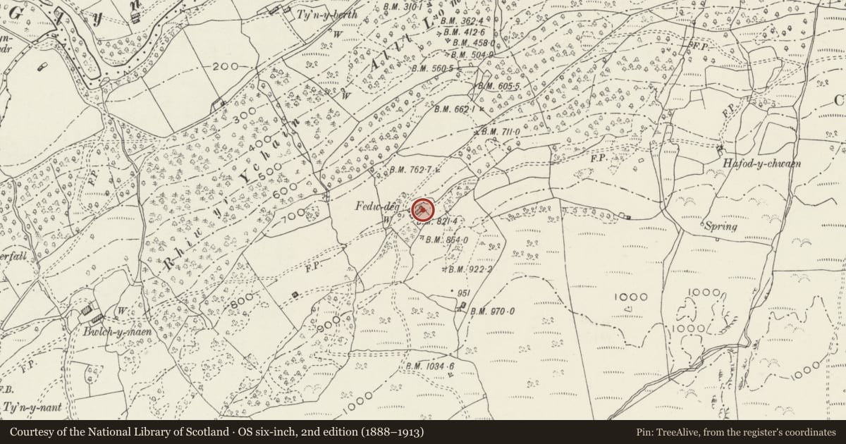 Ordnance Survey six-inch map, 2nd edition (1888–1913) covering the location of Fedw Deg Old Farmhouse, Bro Machno, Conwy, with a pin at the register's coordinates