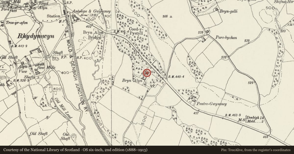 Ordnance Survey six-inch map, 2nd edition (1888–1913) covering the location of Bryn Alyn House, Cilcain, Flintshire, with a pin at the register's coordinates