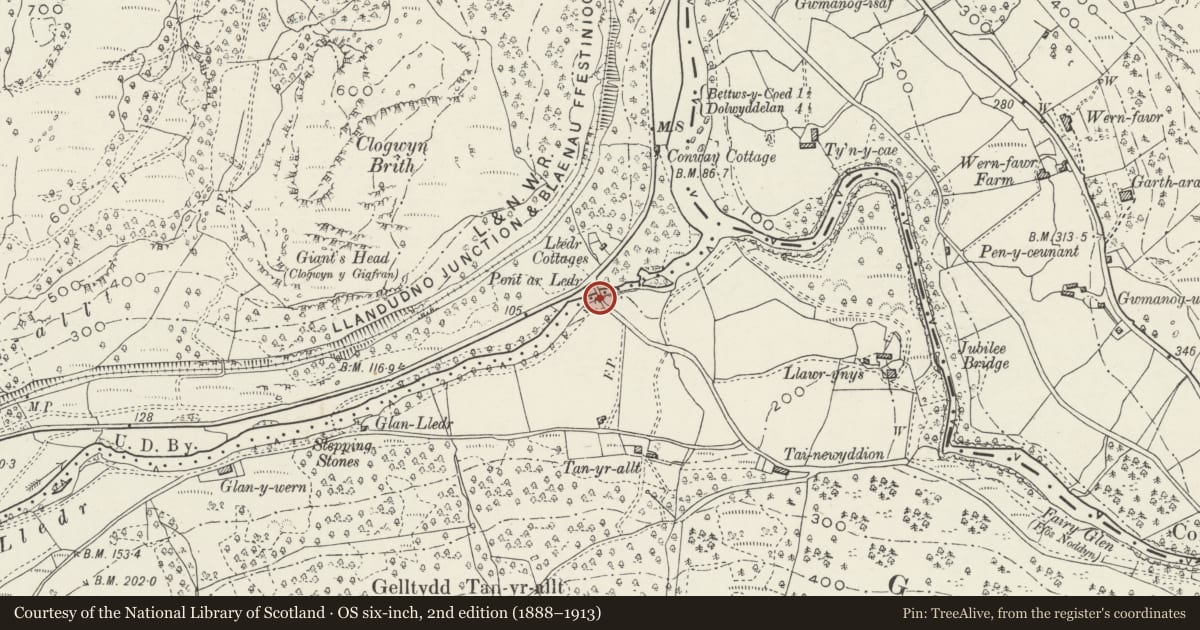 Ordnance Survey six-inch map, 2nd edition (1888–1913) covering the location of Pont Ar Lledr (partly in Bettws-Y-Coed Community), Bro Machno, Conwy, with a pin at the register's coordinates
