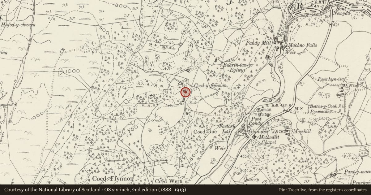 Ordnance Survey six-inch map, 2nd edition (1888–1913) covering the location of Coed-y-Ffrnnon, Bro Machno, Conwy, with a pin at the register's coordinates