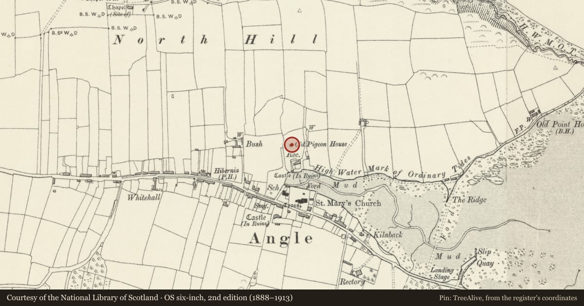 Ordnance Survey six-inch map, 2nd edition (1888–1913) covering the location of Dovecote, Angle, Pembrokeshire, with a pin at the register's coordinates