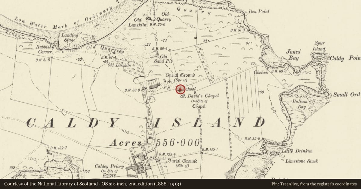 Ordnance Survey six-inch map, 2nd edition (1888–1913) covering the location of Church of Saint David, Tenby, Pembrokeshire, with a pin at the register's coordinates