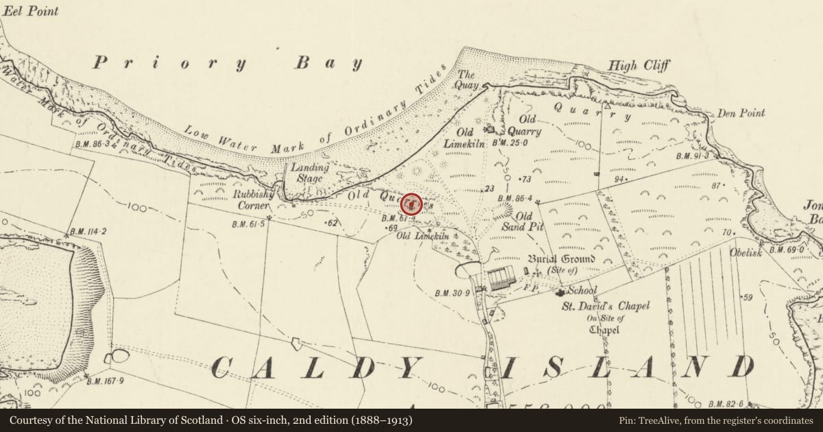 Ordnance Survey six-inch map, 2nd edition (1888–1913) covering the location of Tower Chapel, Tenby, Pembrokeshire, with a pin at the register's coordinates