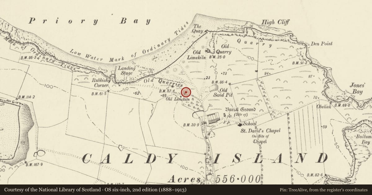 Ordnance Survey six-inch map, 2nd edition (1888–1913) covering the location of Lime-kiln SE of St Philomena's, Tenby, Pembrokeshire, with a pin at the register's coordinates