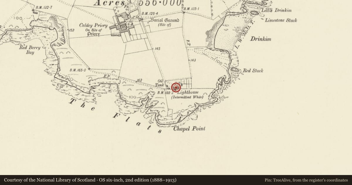 Ordnance Survey six-inch map, 2nd edition (1888–1913) covering the location of Lighthouse with adjoining former Keepers' Cottages, Tenby, Pembrokeshire, with a pin at the register's coordinates
