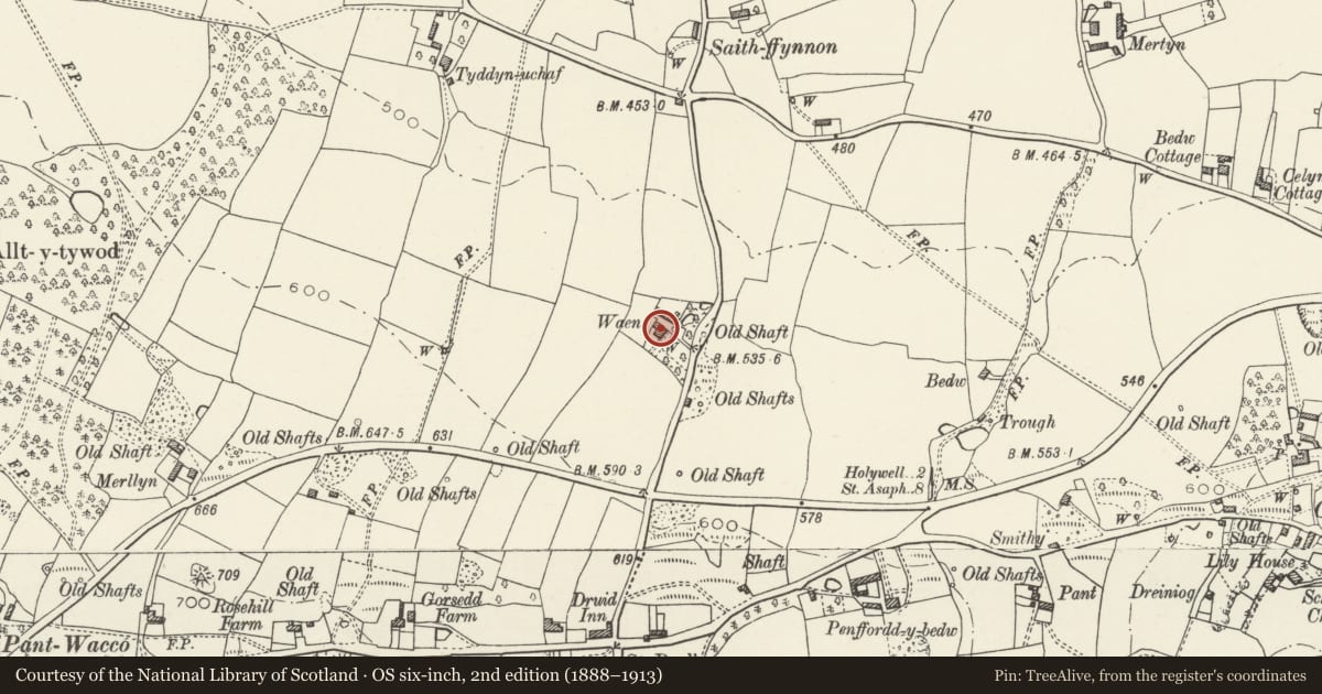 Ordnance Survey six-inch map, 2nd edition (1888–1913) covering the location of Waen Farmhouse, Whitford, Flintshire, with a pin at the register's coordinates