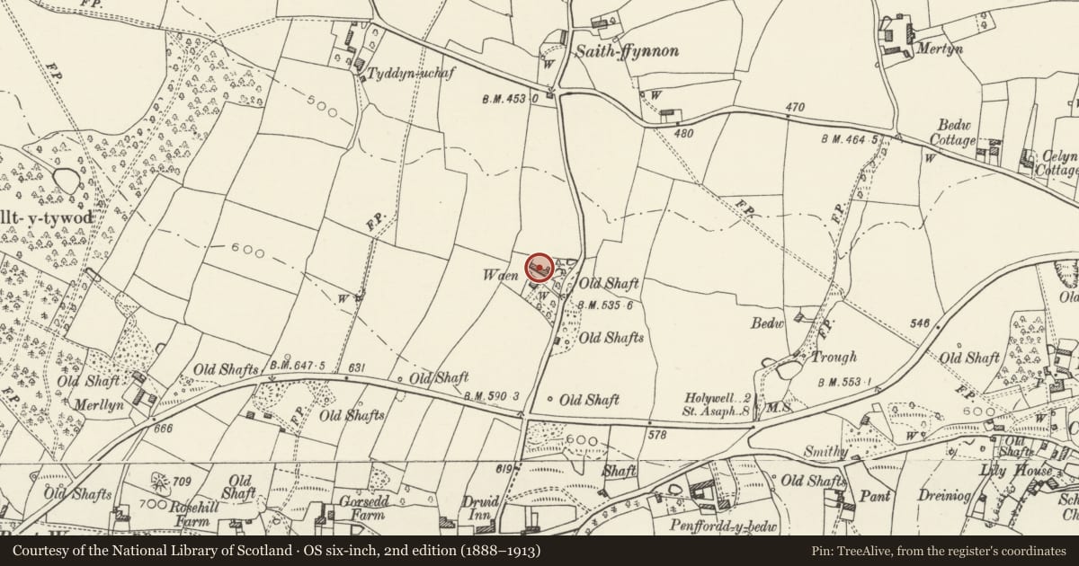 Ordnance Survey six-inch map, 2nd edition (1888–1913) covering the location of Farm Building Range at Waen Farm, Whitford, Flintshire, with a pin at the register's coordinates