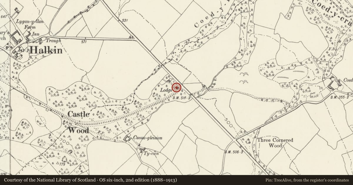 Ordnance Survey six-inch map, 2nd edition (1888–1913) covering the location of Lower Lodge including Gate Piers on S side, Halkyn, Flintshire, with a pin at the register's coordinates