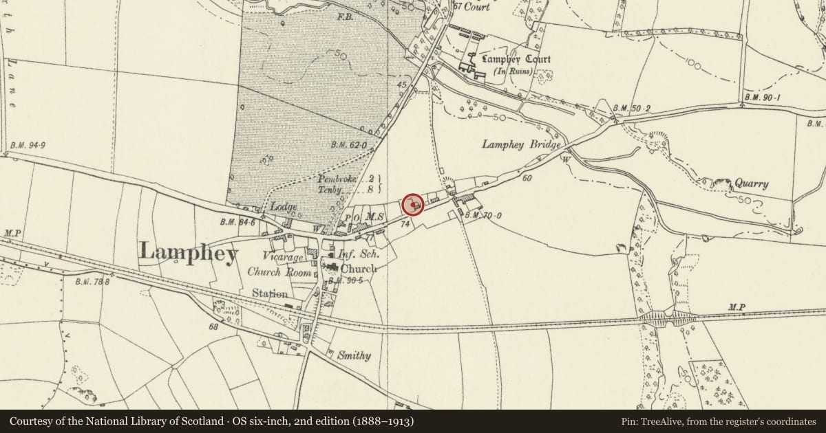 Ordnance Survey six-inch map, 2nd edition (1888–1913) covering the location of Old Chimney in garden of No. 25, Lamphey, Pembrokeshire, with a pin at the register's coordinates