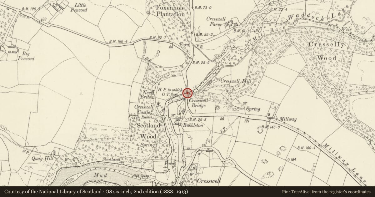 Ordnance Survey six-inch map, 2nd edition (1888–1913) covering the location of Cresswell Bridge, Martletwy, Pembrokeshire, with a pin at the register's coordinates