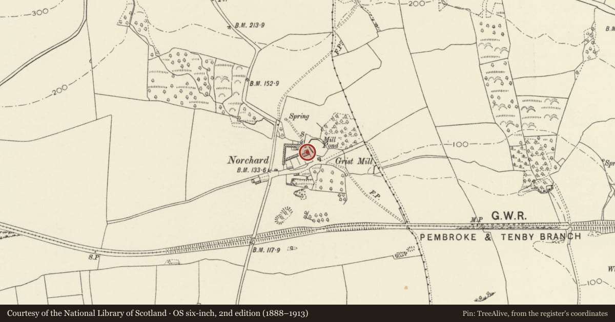 Ordnance Survey six-inch map, 2nd edition (1888–1913) covering the location of Norchard, Manorbier, Pembrokeshire, with a pin at the register's coordinates
