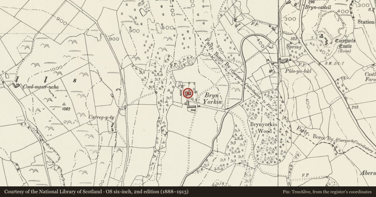 Ordnance Survey six-inch map, 2nd edition (1888–1913) covering the location of Bryn Iorcyn Manor, Llanfynydd, Flintshire, with a pin at the register's coordinates