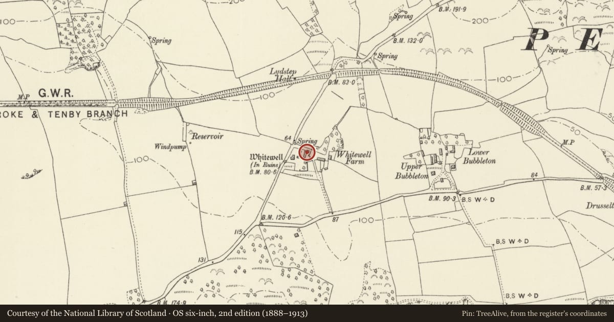 Ordnance Survey six-inch map, 2nd edition (1888–1913) covering the location of Whitewell Ruins - structure A, Penally, Pembrokeshire, with a pin at the register's coordinates