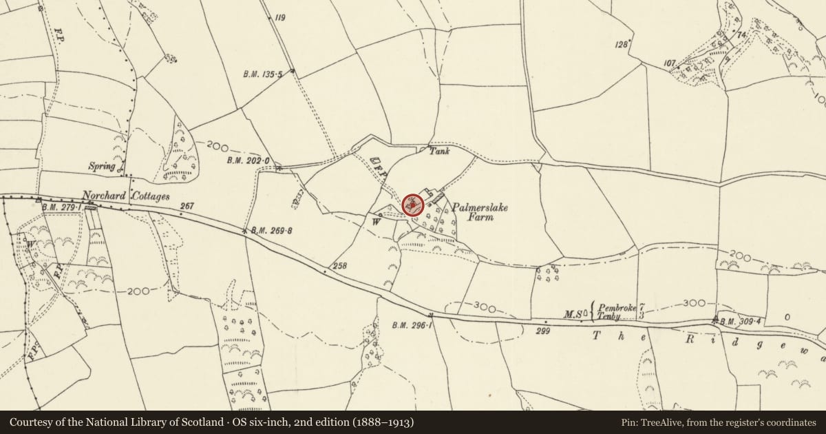 Ordnance Survey six-inch map, 2nd edition (1888–1913) covering the location of Palmerslake Farmhouse, Penally, Pembrokeshire, with a pin at the register's coordinates