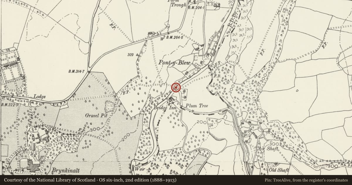 Ordnance Survey six-inch map, 2nd edition (1888–1913) covering the location of Pont-y-blew, Chirk, Wrexham, with a pin at the register's coordinates