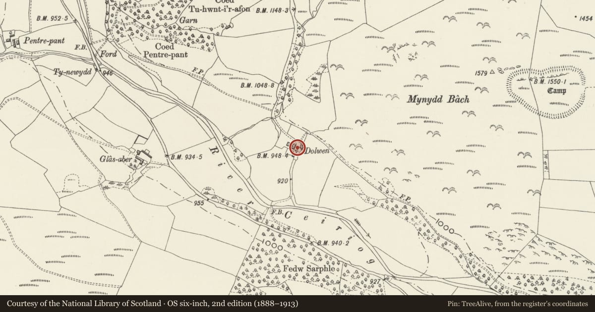 Ordnance Survey six-inch map, 2nd edition (1888–1913) covering the location of Dolwen, Ceiriog Ucha, Wrexham, with a pin at the register's coordinates