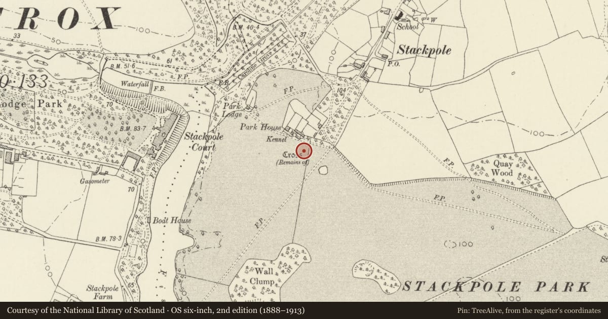 Ordnance Survey six-inch map, 2nd edition (1888–1913) covering the location of Park Village Cross, Stackpole and Castlemartin, Pembrokeshire, with a pin at the register's coordinates
