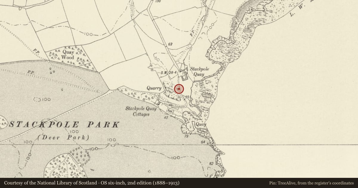 Ordnance Survey six-inch map, 2nd edition (1888–1913) covering the location of Limekiln, Stackpole and Castlemartin, Pembrokeshire, with a pin at the register's coordinates