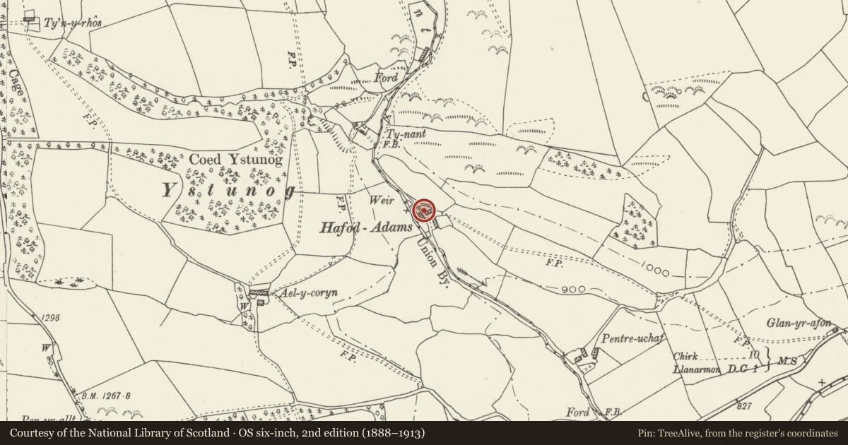 Ordnance Survey six-inch map, 2nd edition (1888–1913) covering the location of Hafod Adams, Ceiriog Ucha, Wrexham, with a pin at the register's coordinates