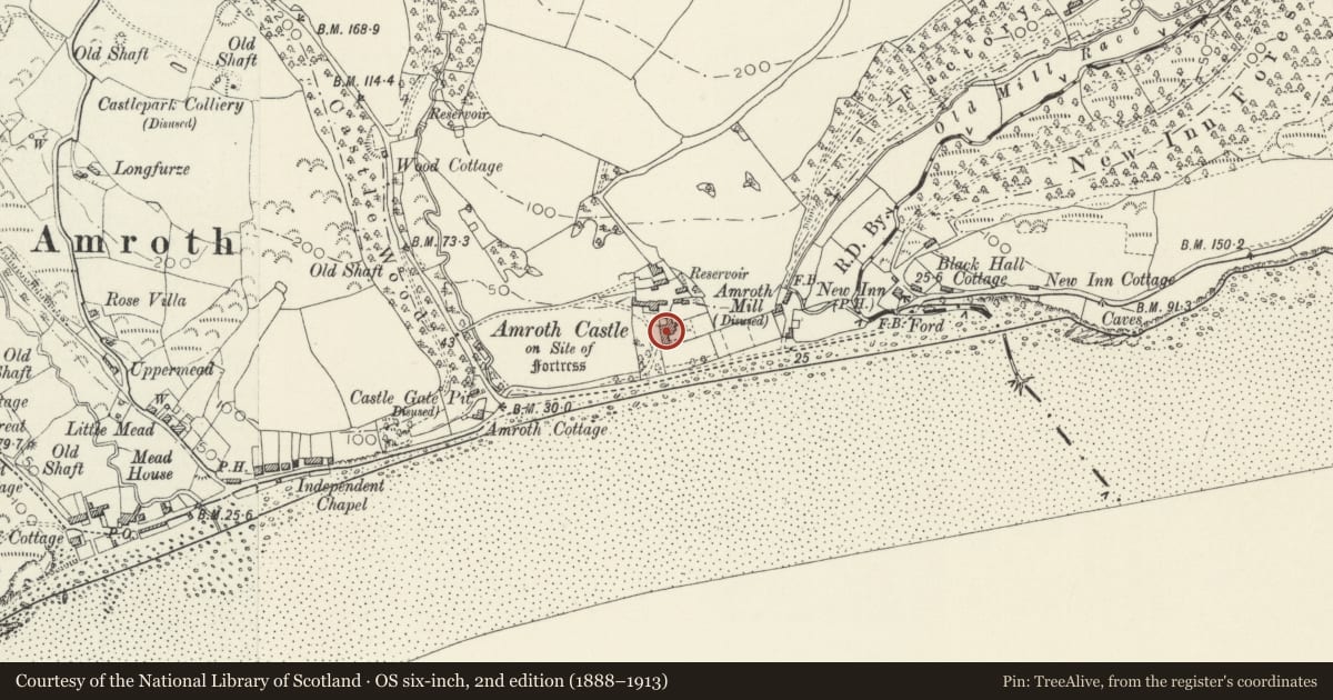 Ordnance Survey six-inch map, 2nd edition (1888–1913) covering the location of Amroth Castle, Pembrokeshire, with a pin at the register's coordinates