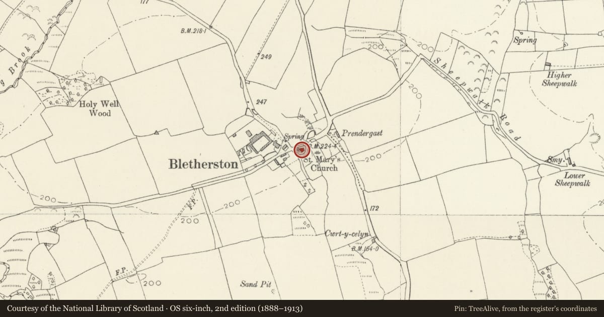 Ordnance Survey six-inch map, 2nd edition (1888–1913) covering the location of Church of Saint Mary, New Moat, Pembrokeshire, with a pin at the register's coordinates