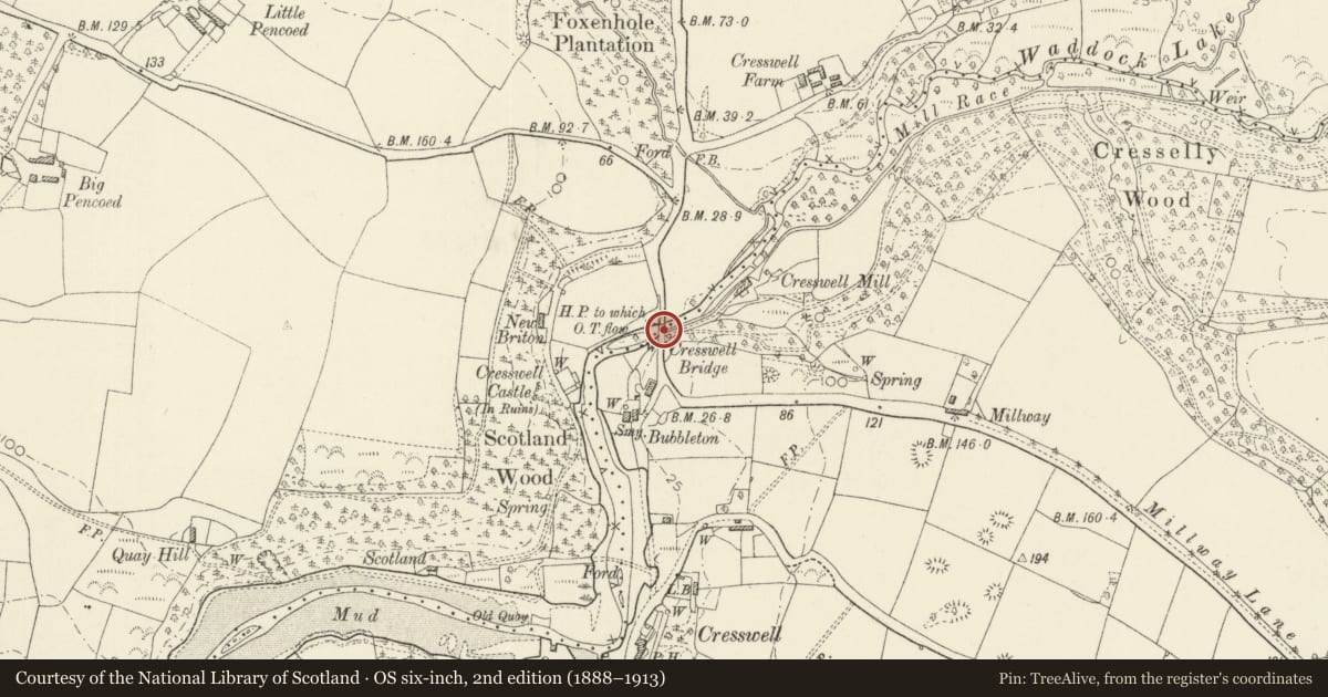 Ordnance Survey six-inch map, 2nd edition (1888–1913) covering the location of Cresswell Bridge, Jeffreyston, Pembrokeshire, with a pin at the register's coordinates