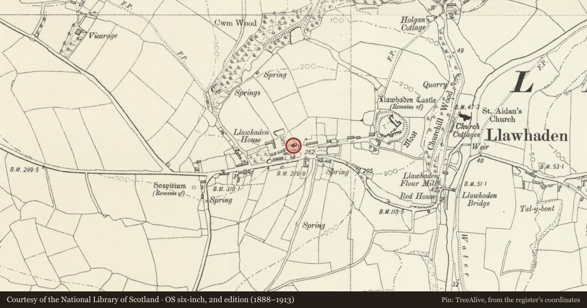 Ordnance Survey six-inch map, 2nd edition (1888–1913) covering the location of Granary and Waggon House at Llawhaden House, Pembrokeshire, with a pin at the register's coordinates