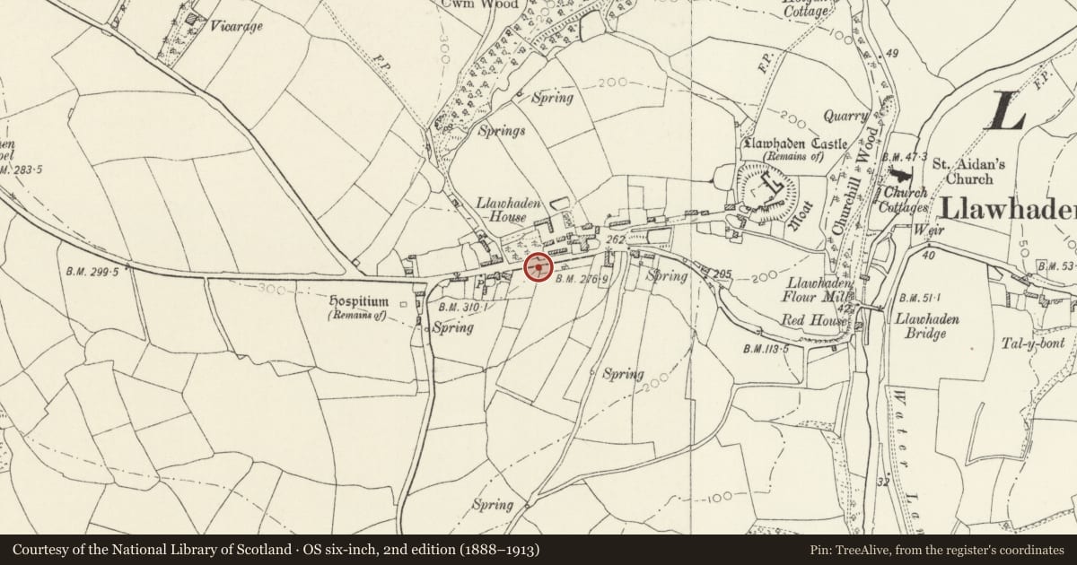 Ordnance Survey six-inch map, 2nd edition (1888–1913) covering the location of Wall with Tower and adjacent Pavement at Llawhaden House, Pembrokeshire, with a pin at the register's coordinates