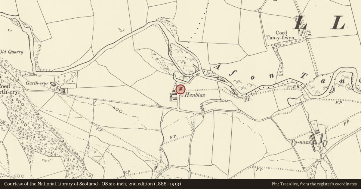 Ordnance Survey six-inch map, 2nd edition (1888–1913) covering the location of Henblas, Llangedwyn, Powys, with a pin at the register's coordinates