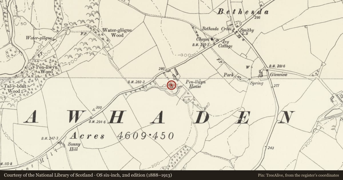 Ordnance Survey six-inch map, 2nd edition (1888–1913) covering the location of Pen Llwyn House, Llawhaden, Pembrokeshire, with a pin at the register's coordinates