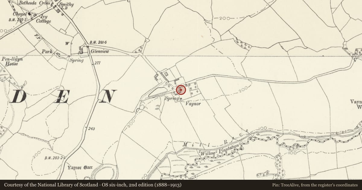 Ordnance Survey six-inch map, 2nd edition (1888–1913) covering the location of Vaynor, Llawhaden, Pembrokeshire, with a pin at the register's coordinates