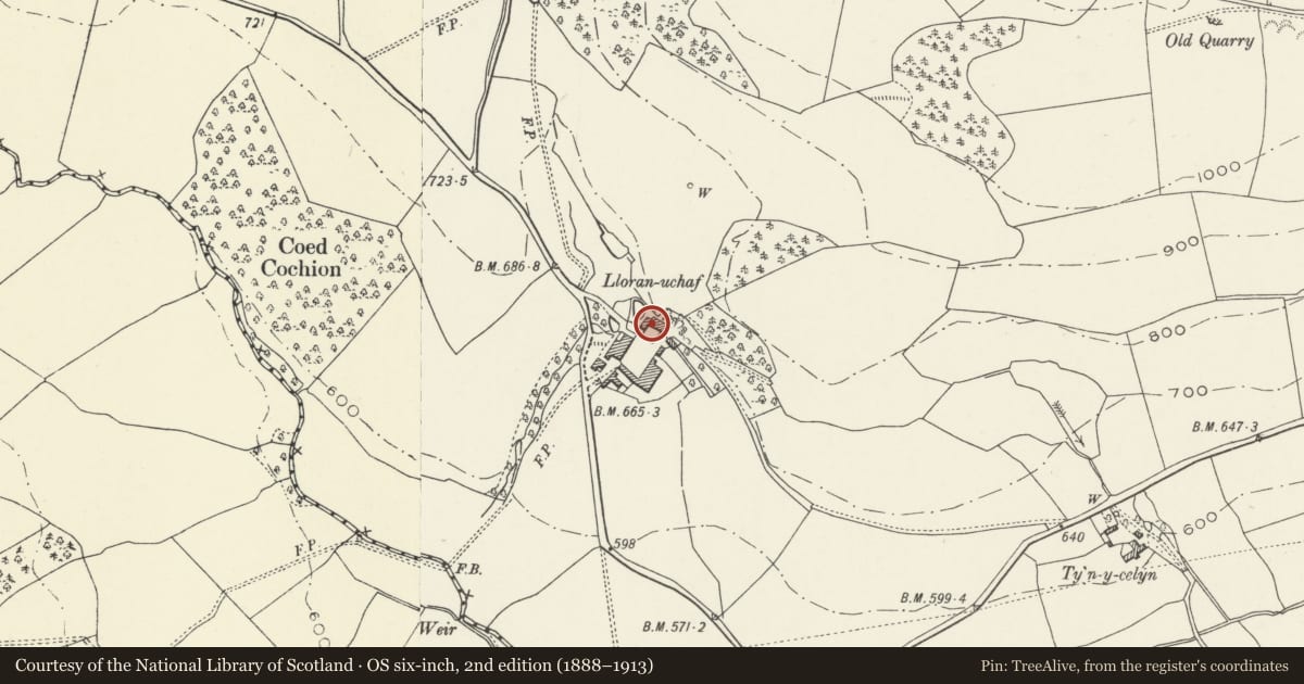 Ordnance Survey six-inch map, 2nd edition (1888–1913) covering the location of Lloran Ucha, Llansilin, Powys, with a pin at the register's coordinates