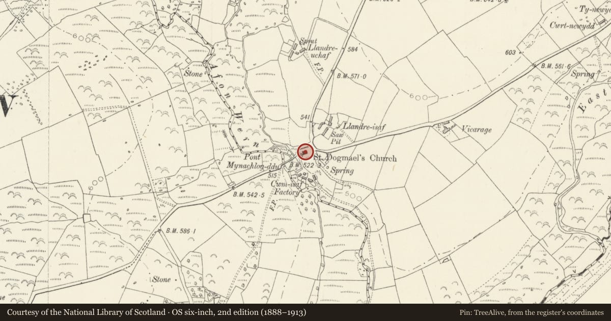 Ordnance Survey six-inch map, 2nd edition (1888–1913) covering the location of Church of Saint Dogmael, Mynachlog-Ddu, Pembrokeshire, with a pin at the register's coordinates