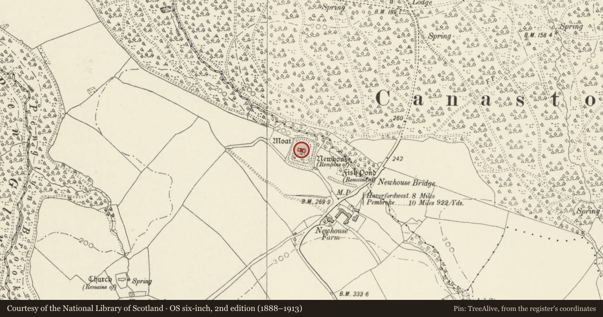 Ordnance Survey six-inch map, 2nd edition (1888–1913) covering the location of Castell Coch, Martletwy, Pembrokeshire, with a pin at the register's coordinates