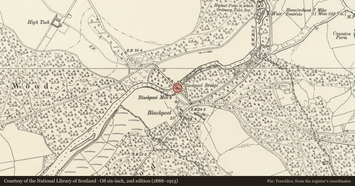 Ordnance Survey six-inch map, 2nd edition (1888–1913) covering the location of Blackpool Bridge, Martletwy, Pembrokeshire, with a pin at the register's coordinates