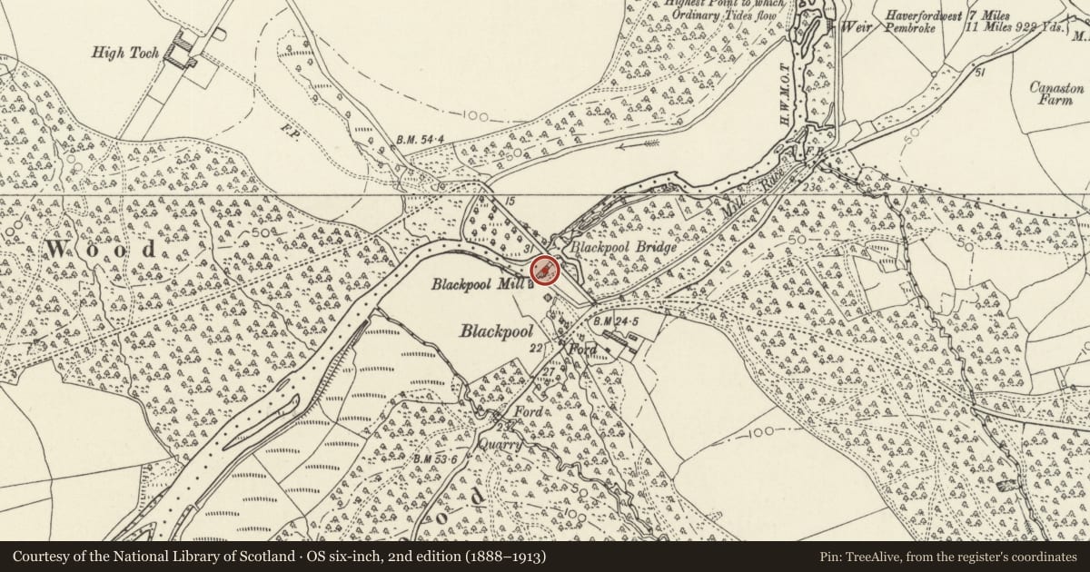 Ordnance Survey six-inch map, 2nd edition (1888–1913) covering the location of Blackpool Mill, Martletwy, Pembrokeshire, with a pin at the register's coordinates