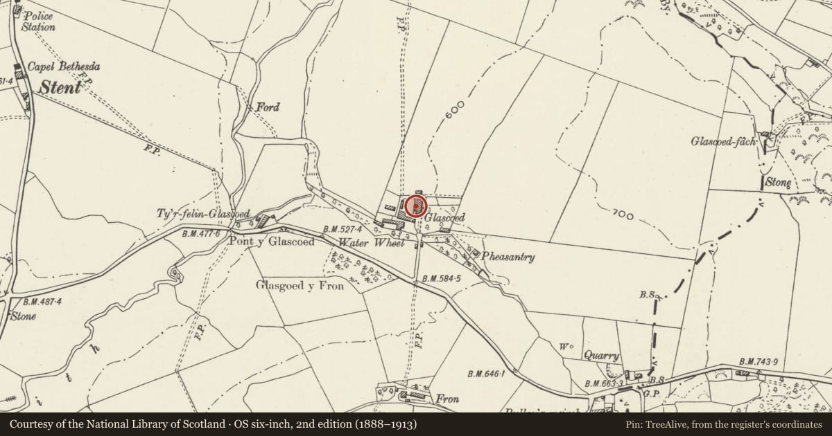 Ordnance Survey six-inch map, 2nd edition (1888–1913) covering the location of Glascoed, Llansilin, Powys, with a pin at the register's coordinates