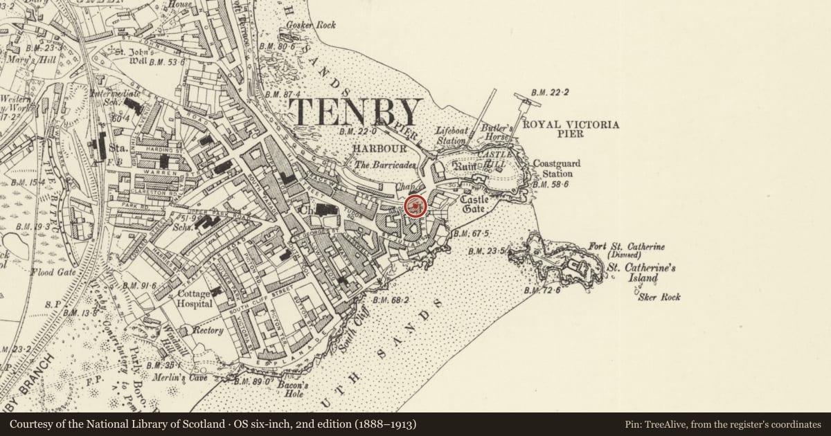 Ordnance Survey six-inch map, 2nd edition (1888–1913) covering the location of Gwynne House, including area railings, Tenby, Pembrokeshire, with a pin at the register's coordinates