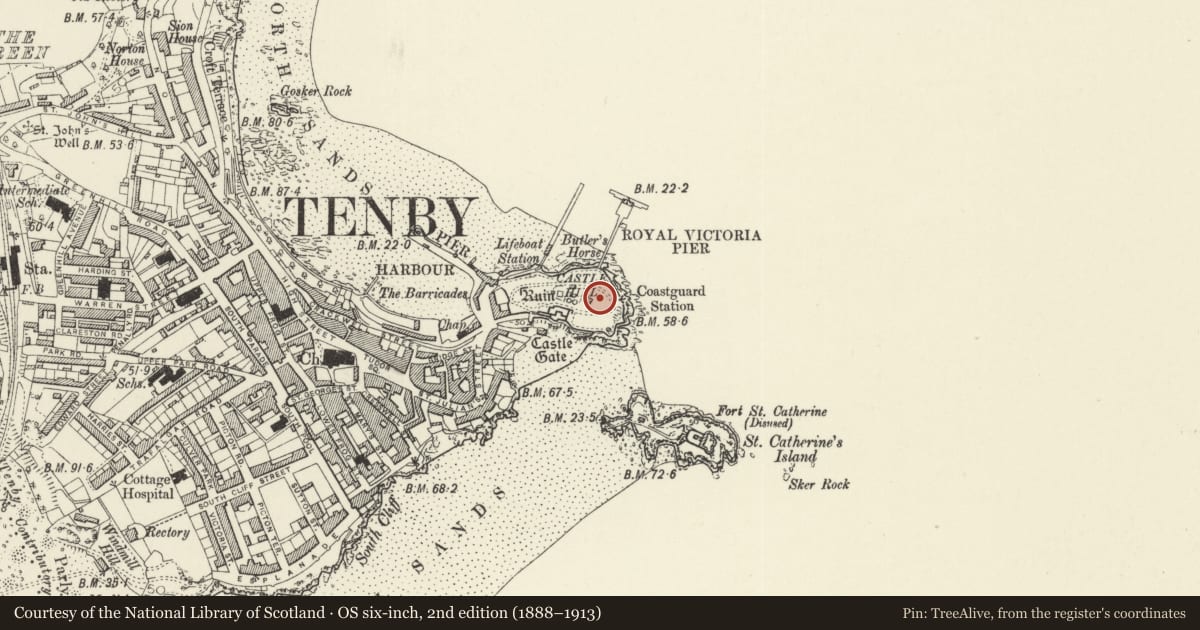 Ordnance Survey six-inch map, 2nd edition (1888–1913) covering the location of Five cannons around the Old Coastguard House, Tenby, Pembrokeshire, with a pin at the register's coordinates