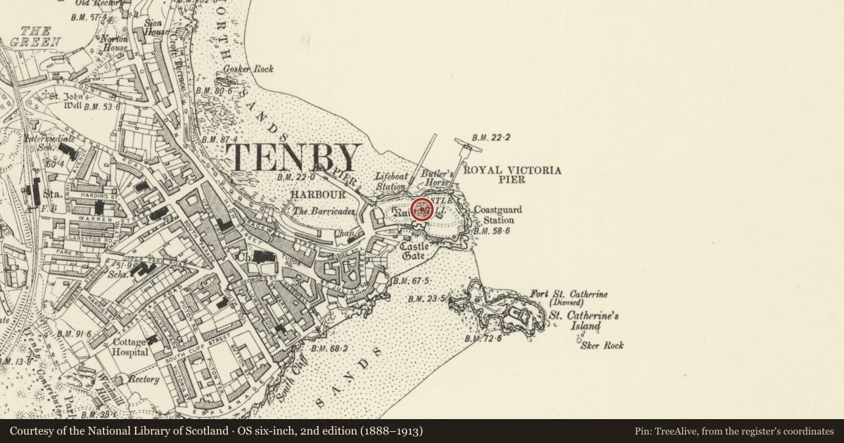 Ordnance Survey six-inch map, 2nd edition (1888–1913) covering the location of The Prince Consort Memorial, Tenby, Pembrokeshire, with a pin at the register's coordinates