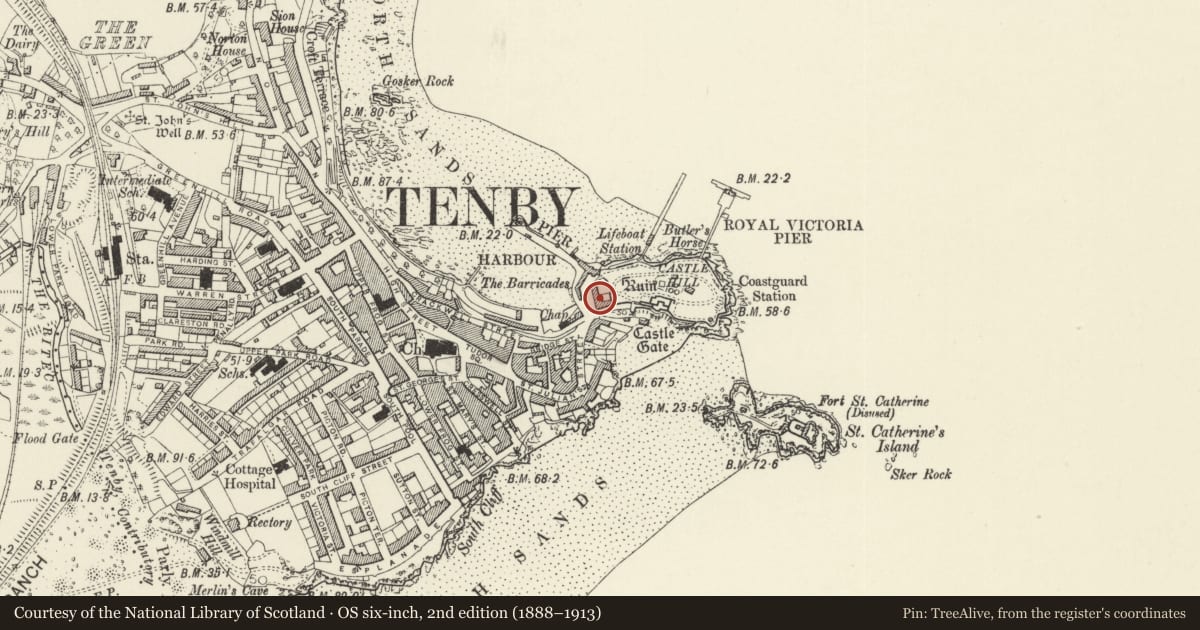 Ordnance Survey six-inch map, 2nd edition (1888–1913) covering the location of 2 Castle Square, Tenby, Pembrokeshire, with a pin at the register's coordinates