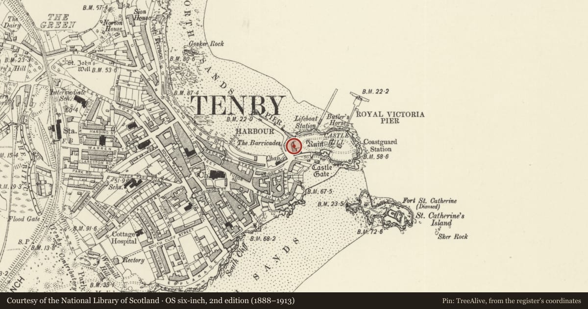 Ordnance Survey six-inch map, 2nd edition (1888–1913) covering the location of Castle Court and retaining wall to left, Tenby, Pembrokeshire, with a pin at the register's coordinates