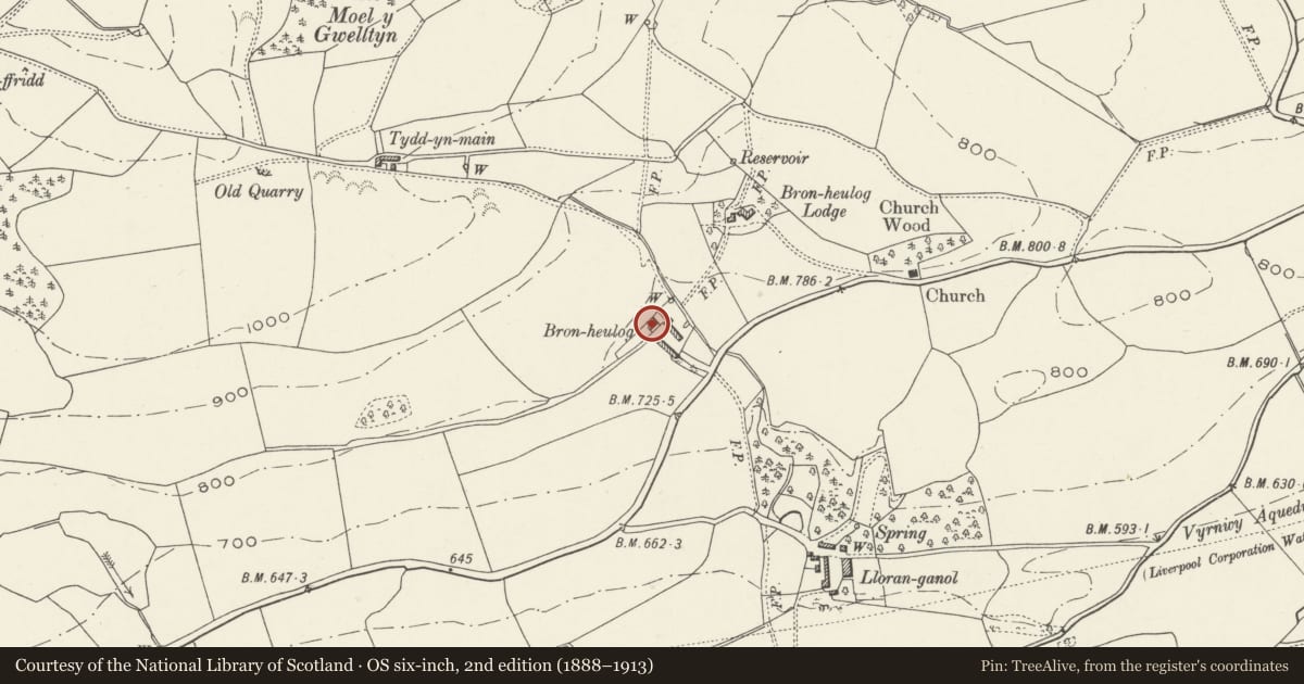 Ordnance Survey six-inch map, 2nd edition (1888–1913) covering the location of Bron Heulog, Llansilin, Powys, with a pin at the register's coordinates