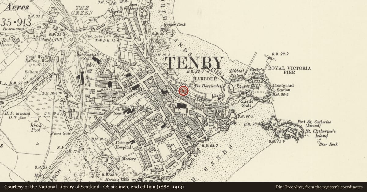 Ordnance Survey six-inch map, 2nd edition (1888–1913) covering the location of No 10 Bellevue (Etnam House) and area railings, Tenby, Pembrokeshire, with a pin at the register's coordinates
